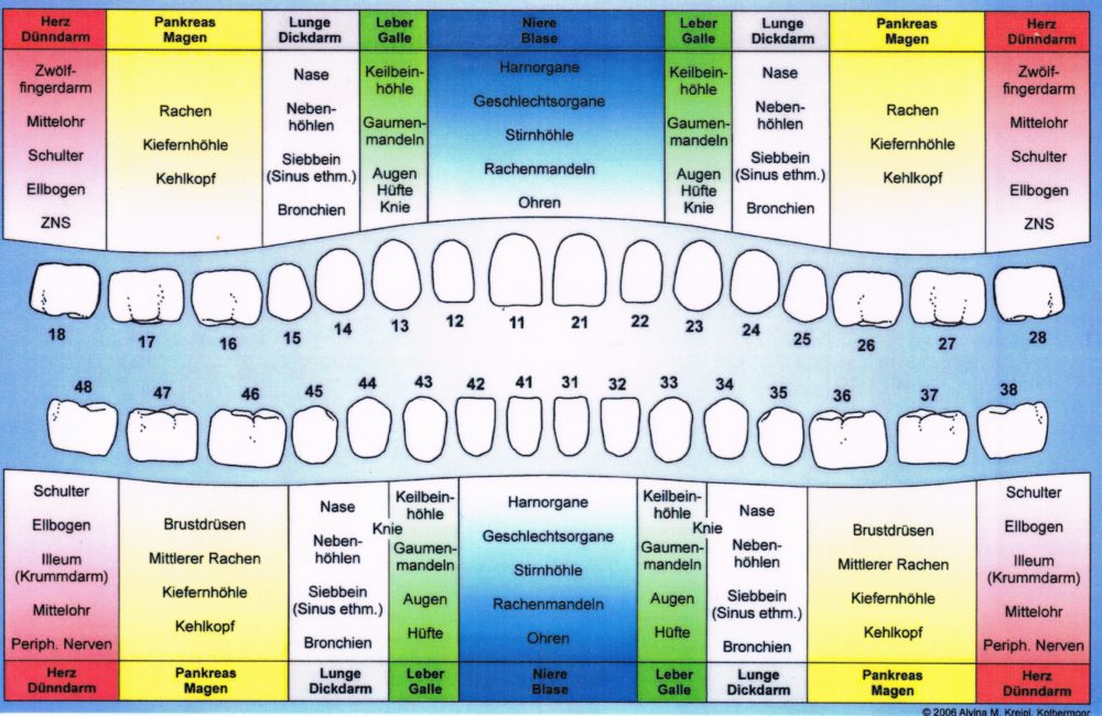 Zahntafel Zahnmeridiane